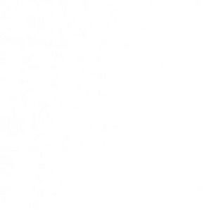 Meet your Posher, Jeremy